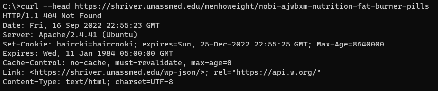 Screenshot curl output of the URL. The site returned a 404 “Not Found”